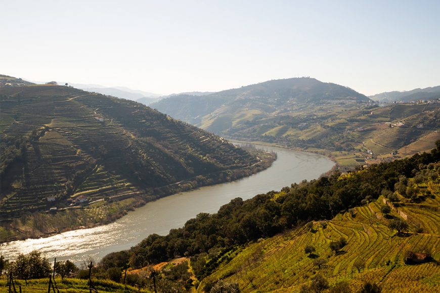 Época das Vindimas chegou: aproveite e prove os Chás do Douro