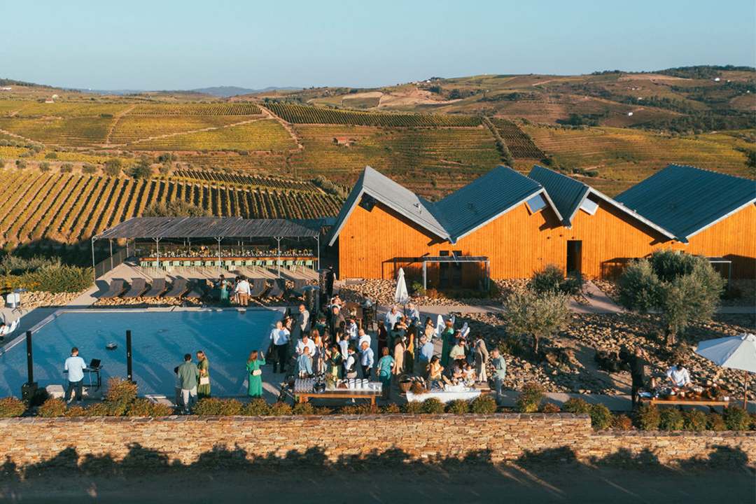 Tea & Wine Experience by ICH