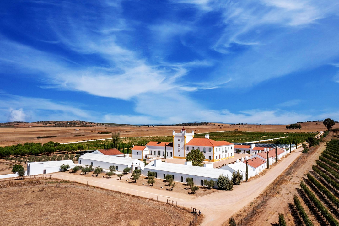 Torre de Palma reforça identidade gastronómica