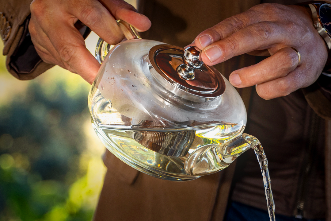 TEA Masterclass ICH: Formação e partilha de boas práticas