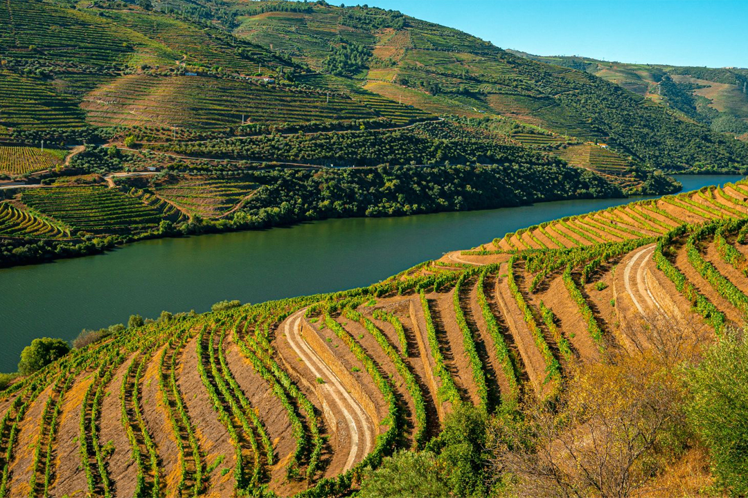 O Douro em destaque no PÚBLICO